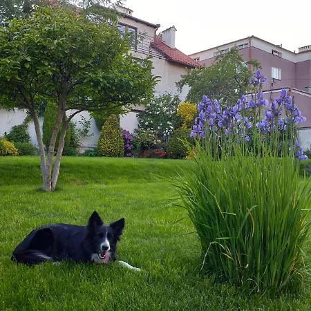 Lejlighed Kwatera Nad Morzem Orlowo *