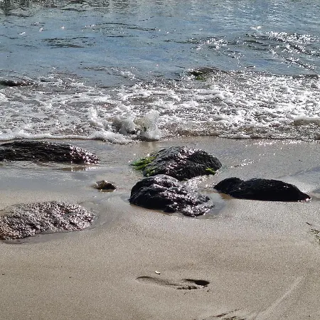 Kwatera Nad Morzem Orlowo Lejlighed *