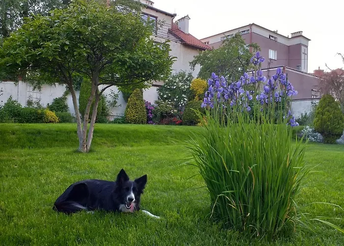 Apartmán Kwatera Nad Morzem Orlowo *